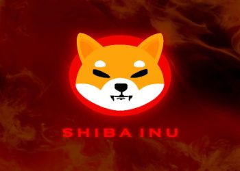 SHIB Price Prediction: Technical Indicators Signal Mixed Outlook Amid Limited Analyst Coverage