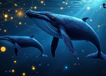 Chainlink whales accumulate 2 million LINK tokens in one week