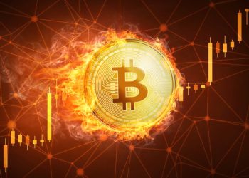 Pantera Capital Backs Doppler Token Launch Protocol