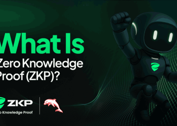 What is Zero Knowledge Proof (ZKP)? Solving Crypto’s Anonymity Problem