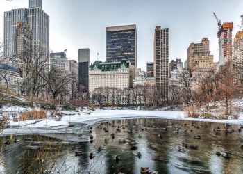 NYC’s ex-mayor launched a token… then rug-pulled