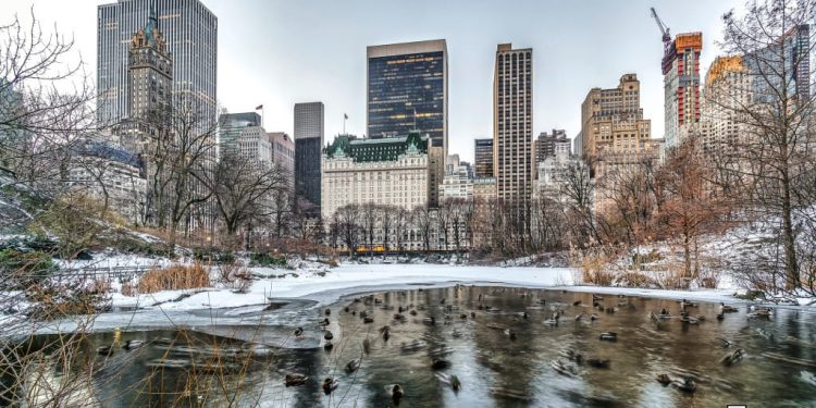 NYC’s ex-mayor launched a token… then rug-pulled