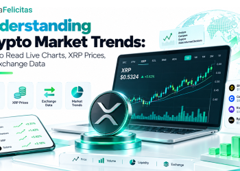 How to Read Live Charts, XRP Prices, and Exchange Data