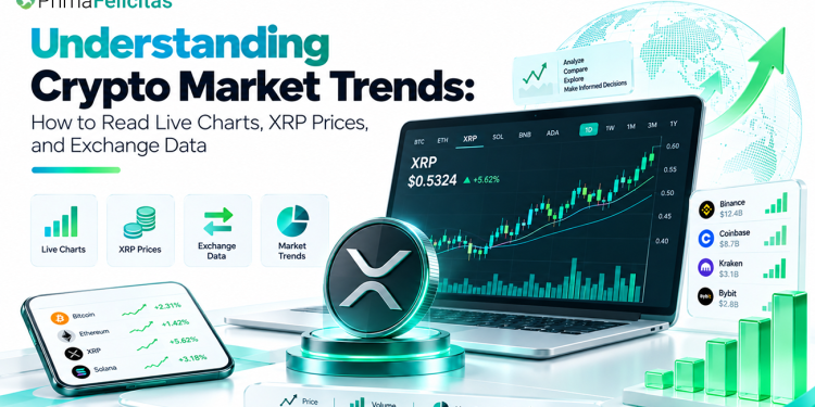 How to Read Live Charts, XRP Prices, and Exchange Data